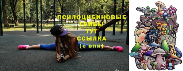гидра Балахна