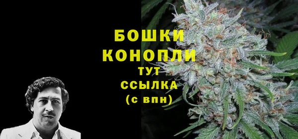 сатива Балабаново